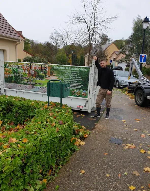 expert en entretien et soin des arbres